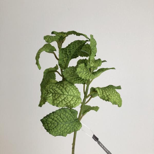 【商品番号：051-16864】/【VAR：26662】4511255406494/20160125new/16seijin-006/bk-0031/m170613/A17haha-006/16hina-004/bk-2103/n2510m...