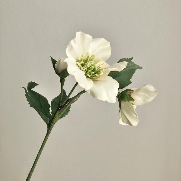 【商品番号：051-18210】/【VAR：40765】4511255424474/20170222new/17asmau/A17haha-002/16nin002/bk-1041/a20haha-001/bkz-0001/bkz-0207...