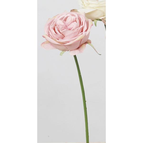  AXJ [Y sN A-33064-003  ԍށu͍sv o