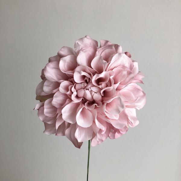 【商品番号：051-18241】/【VAR：40771】4511255424320/20170222new/17asmau/A17haha-002/16nin002/180317pu/180323pu/180419pu/180509pu/1...