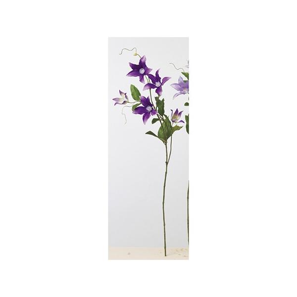 hanadonya_051-20292