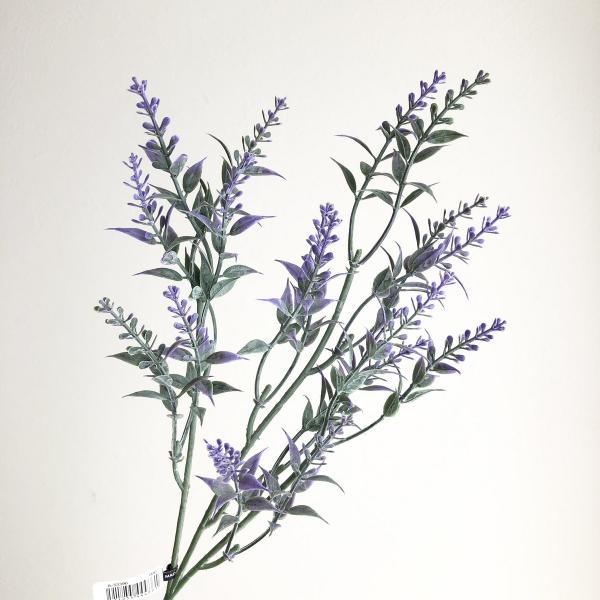 【商品番号：051-20395】/【VAR：51291】4511255444861/20180220new/A17haha-005/180531pu/1912pa/bk-2030/n2510mh/bkz-0004/bkz-0208/oda2...