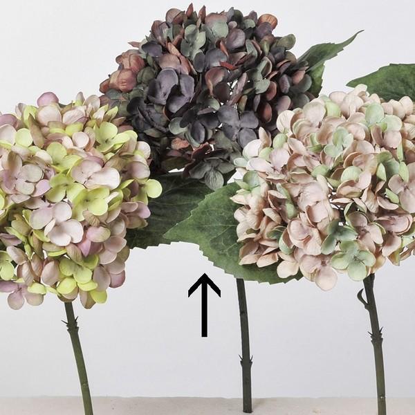 即日 造花 アスカ ハイドランジア 007d ダークパープル A 7d 造花 花材 あ行 あじさい 紫陽花 051 909 はなどんやアソシエ 通販 Yahoo ショッピング