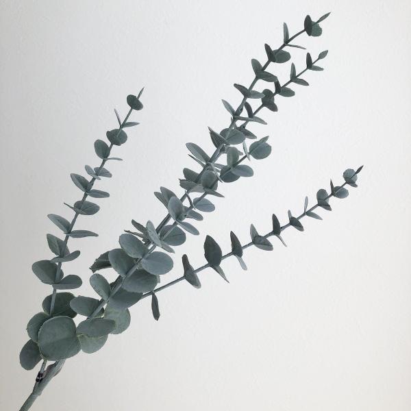 【商品番号：051-22867】/【VAR：59983】20190627new/19ax-004/bk-2103/bk-2000/bkz-0014/bkz-0211/bkz-0212/oda2025_0227/bkz-0412造花葉物、フェ...