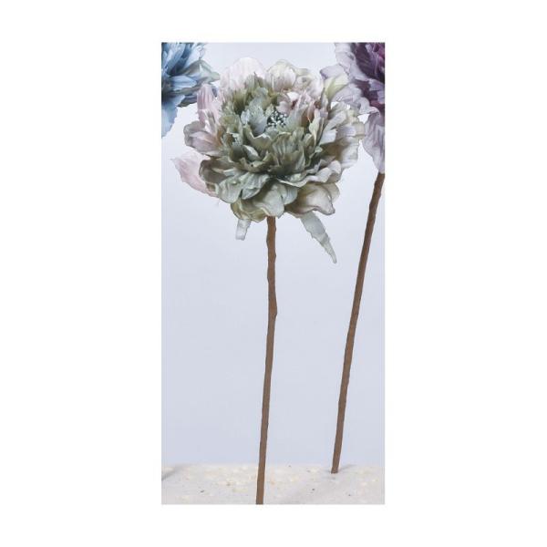  AXJ sIj[sbN #051P O[sN A-33767-51P  ԍށusv VNN {^ sIj[