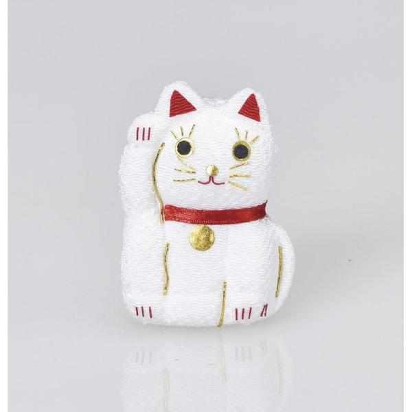 AXJ ߂񏵂L A-79098 fR[Vp[c f af p[c