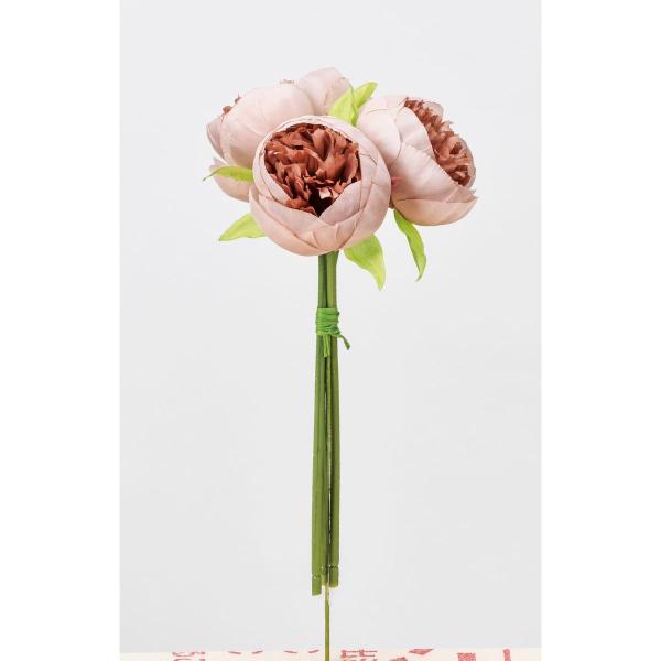  AXJ sIj[o` #055B Cg[u A-34016-55B  ԍށusv VNN {^ sIj[