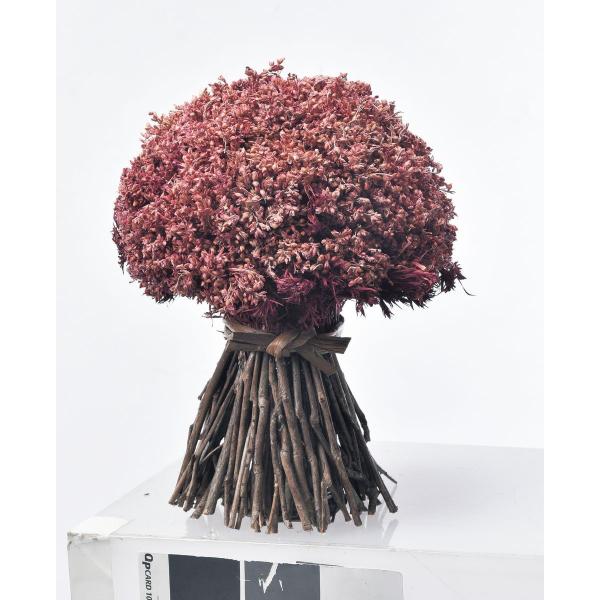 hC AXJ x[cCbOX^h #015 o[KfB A-50989-15 hCt[Mtg