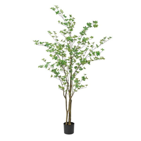 ���� �l�H�ϗt�A�� �A�X�J �h�E�_�� �|�b�g�t  A-50994-51A ���ԕi�L�����Z���s��