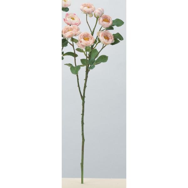 ���� �A�X�J ���[�Y×5 �ڂ�×2 ���C�g���[�u A-34142-55B ���� �ԍށu�͍s�v �o��