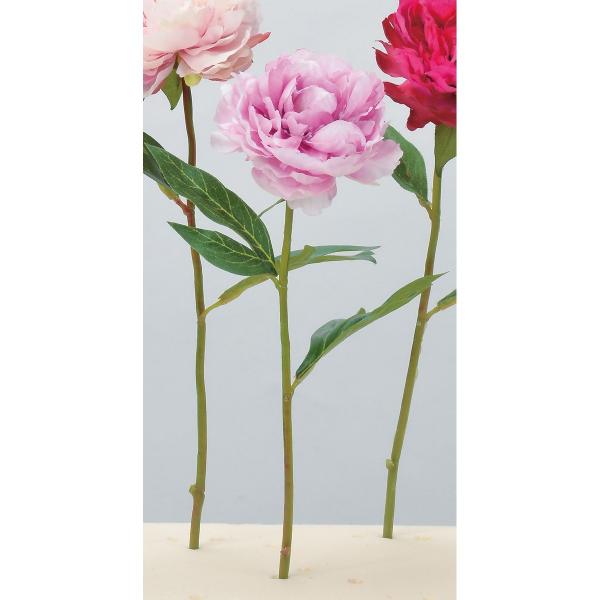  AXJ sIj[ p[v A-32373-7  ԍށusv VNN {^ sIj[