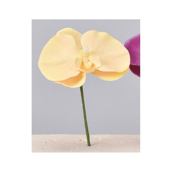  AXJ R`EsbN k  \tgCG[ A-34238-20  ԍށusv R`E Ӓ