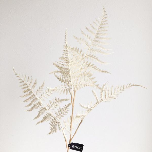 【商品番号：051-26985】/【VAR：70076】20220118new/bkz-0016/bkz-0213/oda2024/bkz-0414造花葉物、フェイクグリーン アスパラガス