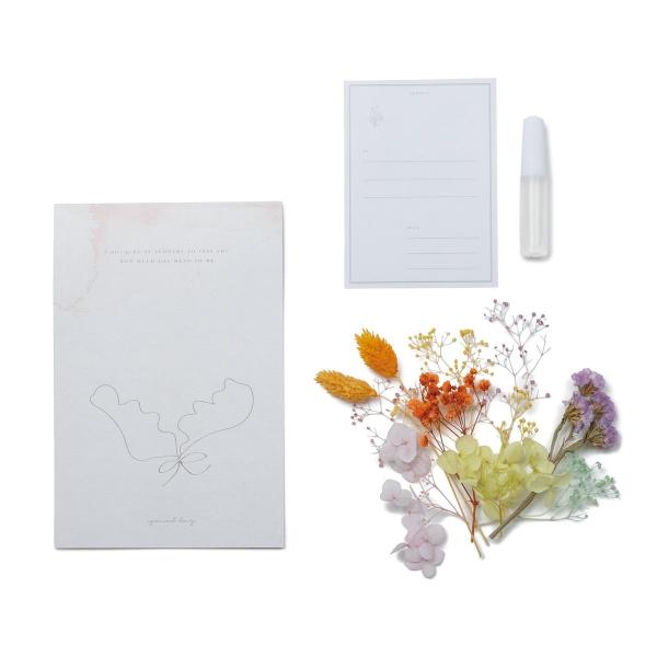 ドライ アスカ message card kit マカロン SU00164-000