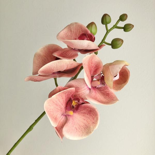 【商品番号：051-29030】/【VAR：】20230221new/bk-1107/asum-200/コーティング/bkz-0307/bkz-0302/bkz-0202/oda2024_1128/bkz-0402/bkz-0502/bkz...