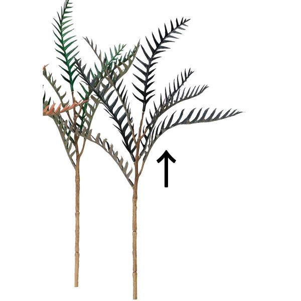 【商品番号：051-29567】/【VAR：76403】20230626new/asym23aw2/bkz-0212造花 「わ行」 ワイルドフラワー【アスカ】