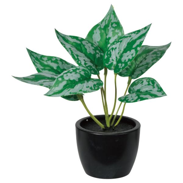 人工観葉植物 アスカ スキンダプサス ポット付 グリーン A-51083-51A 造花葉物、フェイクグリーン 造花 人工観葉植物 卓上ポット 爆買
