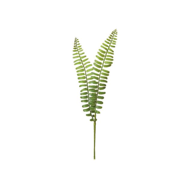 【商品番号：051-33622】/【VAR：】date20250617造花葉物、フェイクグリーン ファーン