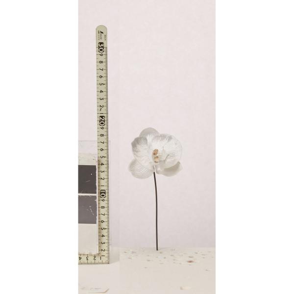 【商品番号：051-33643】/【VAR：】date20250617/23ax-001造花 花材「か行」 コチョウラン（胡蝶蘭）