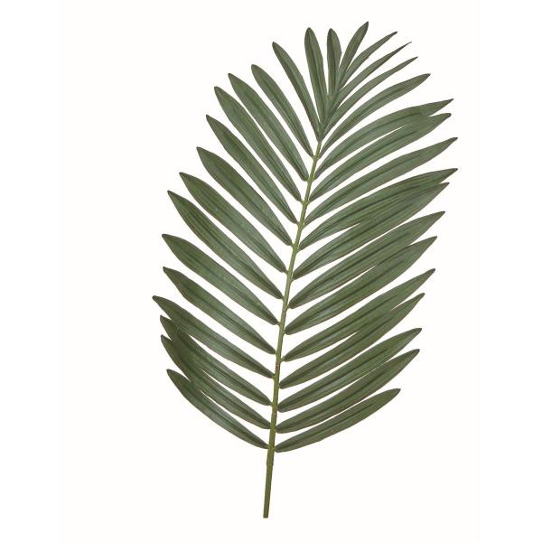 【商品番号：051-34163】/【VAR：】date20260207造花葉物、フェイクグリーン ファーン【アスカ】