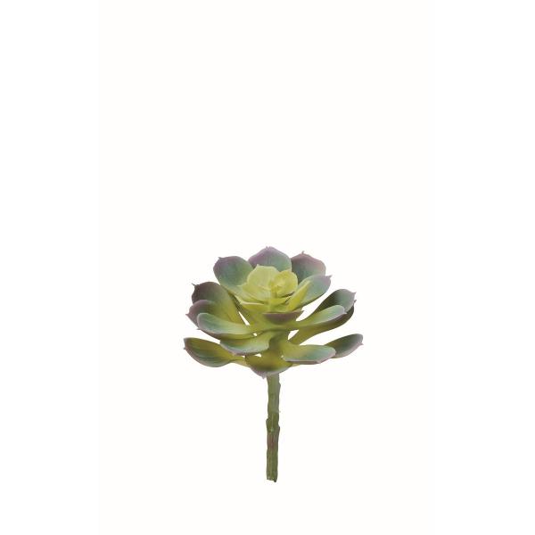 【商品番号：051-34379】/【VAR：】date20260207造花葉物、フェイクグリーン 多肉植物【アスカ】