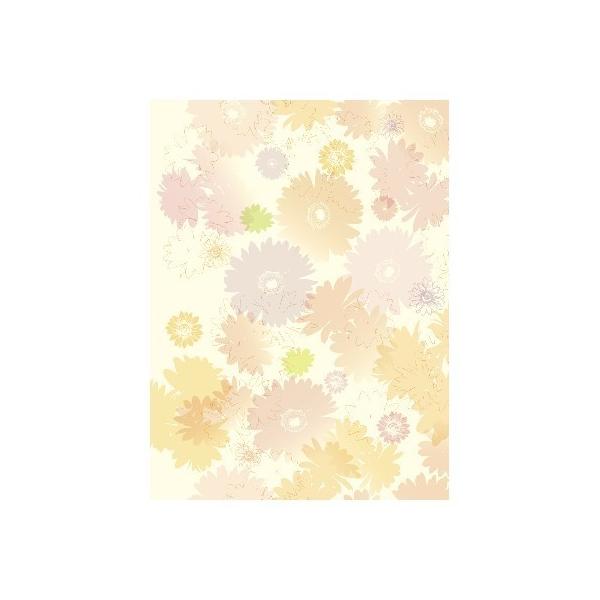 TTK @^CA@S@50 49-2506 bsOy[p[    