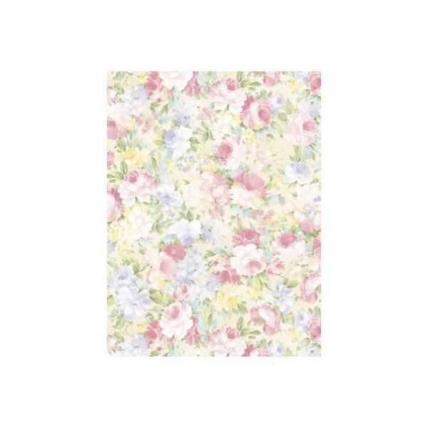 TTK @y@S@50 49-2507 bsOy[p[    