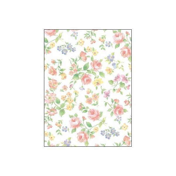 TTK @}lXN@S 50  49-2560 bsOy[p[    