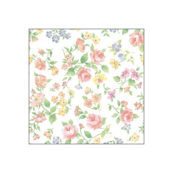 �T�T�K�� ����@���}�l�X�N�@���˔� 50��  49-1560 ���b�s���O�y�[�p�[ ���  ��� ����