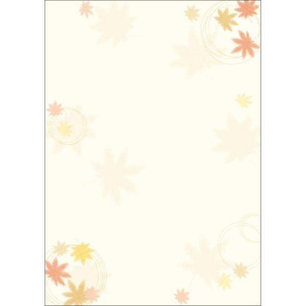 TTK ap a gt 10 4-1003 5 X܃fBXvC X G [