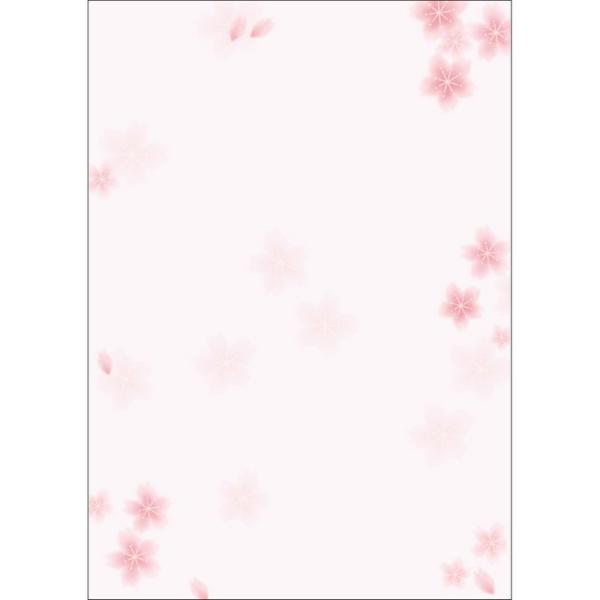 TTK ap a  10 4-1005 5 X܃fBXvC X G [