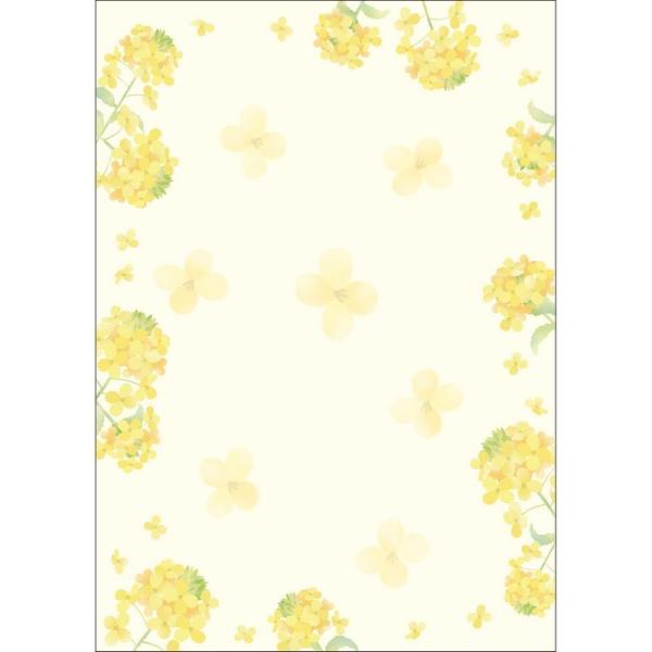 TTK ap a ؂̉ 10 4-1031 5 X܃fBXvC X G [