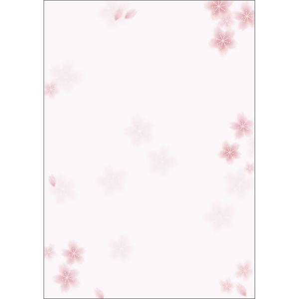 TTK ap a  100 100 4-1905 X܃fBXvC X G [