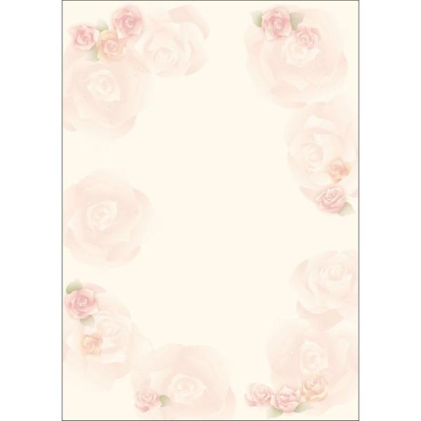 TTK fUCy[p[t[ [W[ 10 4-3000 5 X܃fBXvC X G [