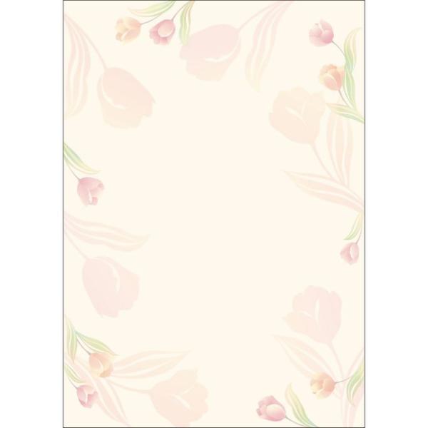 TTK fUCy[p[t[ `[bv 10 4-3002 5 X܃fBXvC X G [