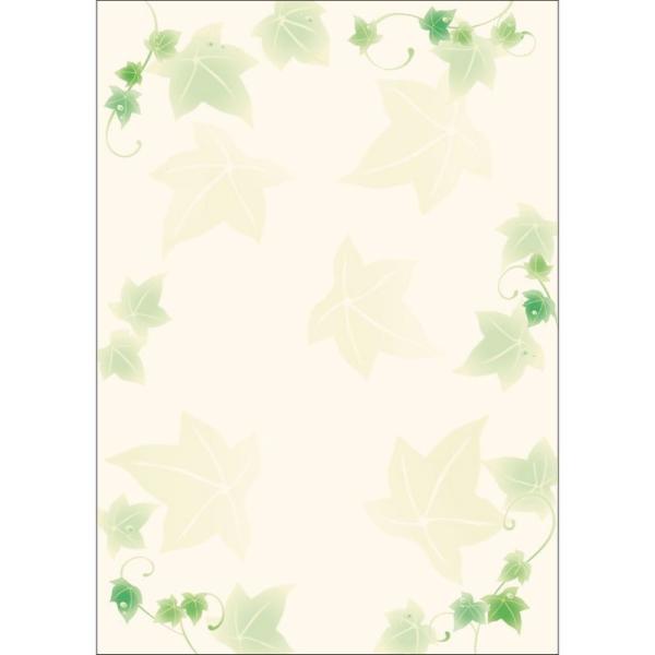 TTK fUCy[p[t[ ACr[ 10 4-3003 5 X܃fBXvC X G [