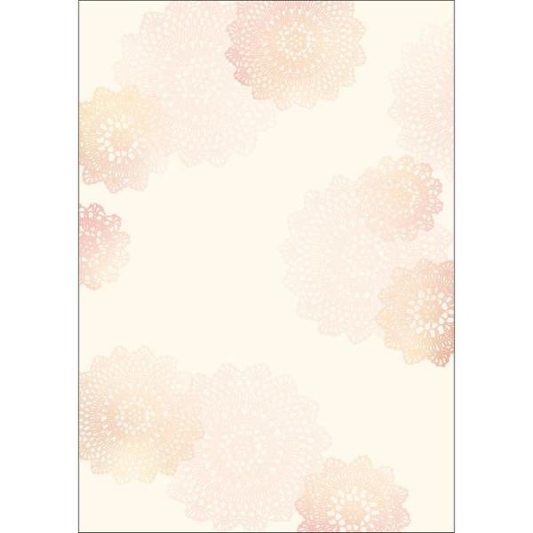 TTK fUCy[p[t[ [X 10 4-3006 5 X܃fBXvC X G [