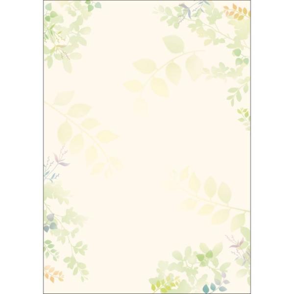 TTK fUCy[p[t[ O[Y 10 4-3007 5 X܃fBXvC X G [