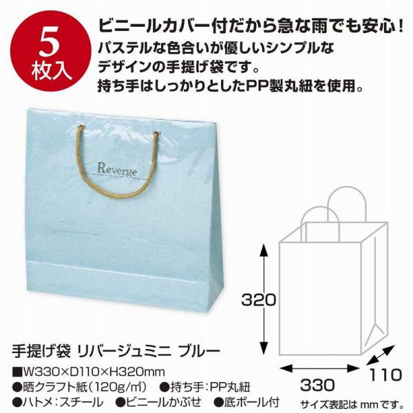 【商品番号：052-29229】/【販売単位】5枚 ※表示価格は、この単位での金額となります/【VAR：71810】20221130new/color20230919ラッピング袋・プレゼント袋 手提げ紙袋