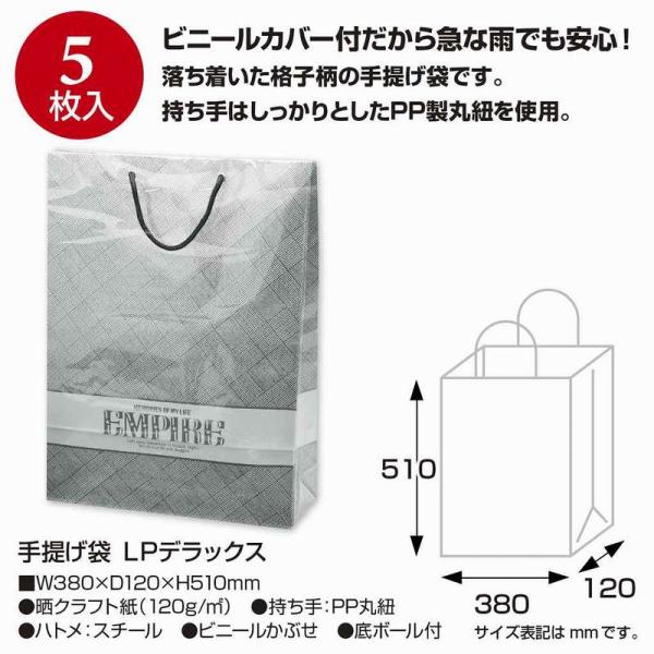 【商品番号：052-29234】/【販売単位】5枚 ※表示価格は、この単位での金額となります/【VAR：】20221130newラッピング袋・プレゼント袋 手提げ紙袋