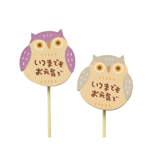 GREENHOUSE hV̓NbvsbN ӂ낤 2×e6{ 3970S 12{ t[sbN ̑ CxgsbN