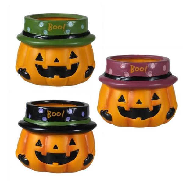 Aؔ  GREENHOUSE HWpvL|bg S 3×e4 HW312S 12 K[fjO |pi t[|bg  Z~bN