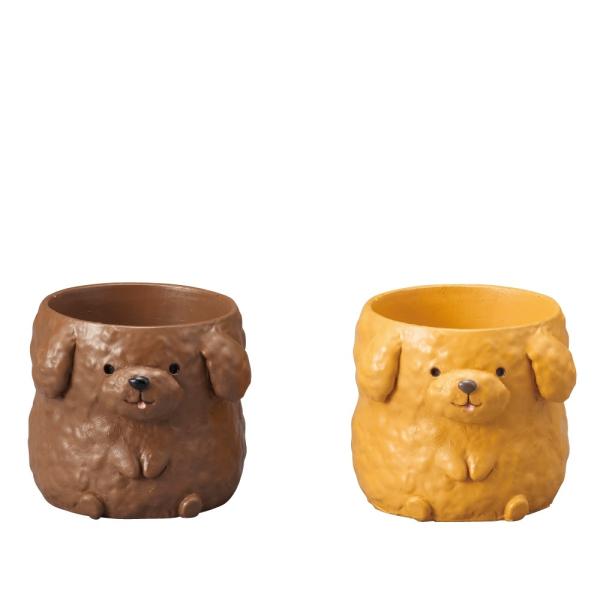 Aؔ  GREENHOUSE gW|bg gCv[h  2×ue1v 4789S 2 K[fjO |pi t[|bg `[t