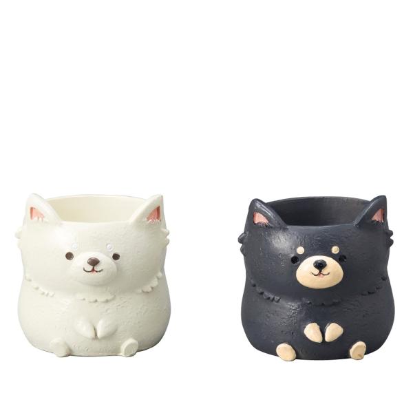 Aؔ  GREENHOUSE gW|bg `  2×ue1v 4790S 2 K[fjO |pi t[|bg `[t