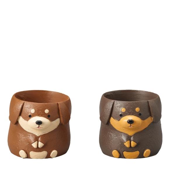 Aؔ  GREENHOUSE gW|bg ~j`A_bNXth  2×ue1v 4794S 2 K[fjO |pi t[|bg `[t