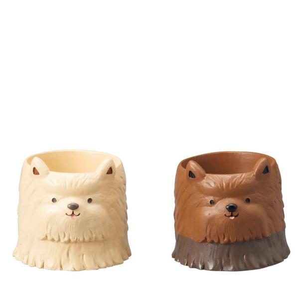 Aؔ  GREENHOUSE gW|bg [NV[eA  2×e3 4795S 6 K[fjO |pi t[|bg `[t