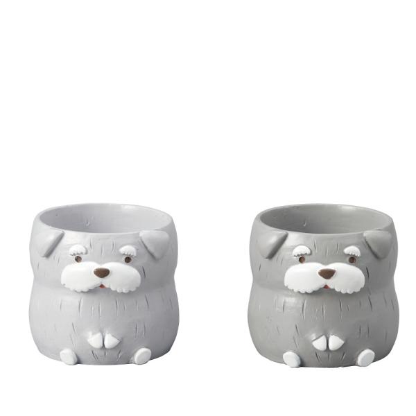 Aؔ  GREENHOUSE gW|bg ViEU[  2×e3 4797S 6 K[fjO |pi t[|bg `[t