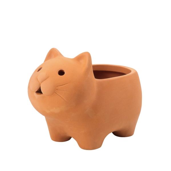 GREENHOUSE Aj}eRb^r 4979-CA 2 |pi Aؔ t[|bg eRb^ fĂ