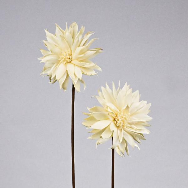 【商品番号：059-01161】/【VAR：77105】date20230828/sola12colorsソラフラワー ソラダリア