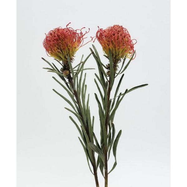 【商品番号：065-00086】/【VAR：48130】4544828177262/20170928newドライワイルドフラワー その他ワイルドフラワー【コアトレーディング】